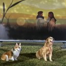 고쳐줄개 이미지