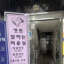 에이치린 이미지