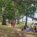 (주)아루 이미지