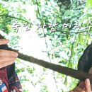 기홍농장 | 코타키나발루 마리마리 민속촌 투어 부족들 삶 들여다보기