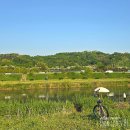 다산하늘초등학교(병설) 이미지