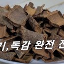 [육계차, 계피차] 겨을 감기, 독감 이것으로 예방한다. 혈액순환 촉진, 관절염에도 매우 좋다 이미지