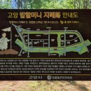 덕수공인중개사사무소 이미지