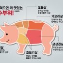 호돈뒷고기 - 포항시 북구 초곡지구로101번길 1-6 | 호돈뒷고기