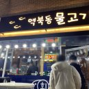 역북동물고기 이미지