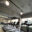 베럴짐 네이버블로그
