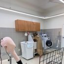 망고네 펫 살롱 이미지