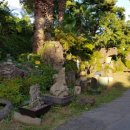 메모리 펜션 이미지