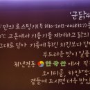군닭400&국수