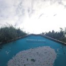 우리농수산직판장 | 제주도 제주공항 근처 관광지 용두암 휠체어 방문 솔직 후기후기~!