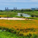 북부천변 이미지