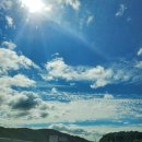 푸름한우 이미지