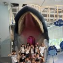 장항중앙초등학교병설유치원 이미지