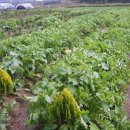 가득농장 이미지