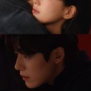 산책비디오 이미지