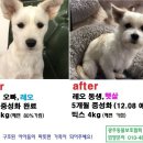 남매농장 이미지