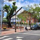 서소문로11길 이미지