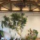 보산원2길 | [천안/광덕면] 천안 광덕 광덕산 애견동반 카페, 화진담 내돈내산 방문 리뷰