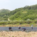 웅골 협동조합 이미지