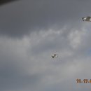 영영공인중개사사무소 이미지