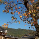 (주)건축사사무소 아라가야 이미지