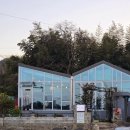 (주)나주황토공방 | 마당냥이가 있는 나주 홍차전문점 바실리에 혼카 후기