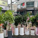 뉴드림마트 이미지