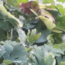 인천향교회관 이미지