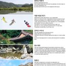 옥공인중개사사무소 이미지