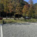 상소동 산림욕장(하) | 대전 캠핑 상소동 - 상소오토캠핑장
