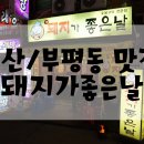 돼지가좋은날