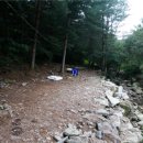 다은이네 민박 이미지