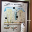 박성호치과