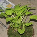 종순농장 이미지