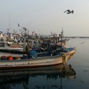 후포리 대게 맛나 이미지