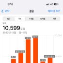 4박 6일 방콕 자유여행 경비 &amp; 일정 &amp; 후기