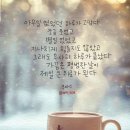 도레미 Daum카페