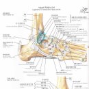 염기룡한의원 이미지