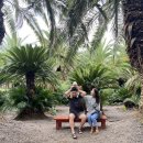 오성2목장 이미지