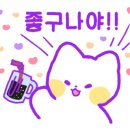 샐러드에 반하다 이미지