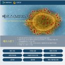 (버스)평택성모병원 이미지