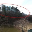 (주)청호씨푸드