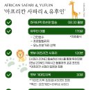 하루하루하루 | 후쿠오카 여행 유후인 &amp; 벳푸 사파리 당일치기 하루하루투어 이용 후기