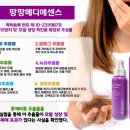 큐사랑팡팡