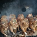 정글바베큐 이미지