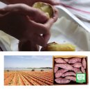 무안곤충농장 이미지