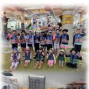 국가대표 불태우리 태권도장 이미지