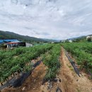 퇴곡1리 이미지