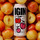 GS25진주은혜점 | 도수낮은술을 찾는다면 BTS진과 함께하는 GS 편의점 하이볼 아이긴(IGIN) 새콤토닉