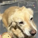 해버바잍 네이버블로그